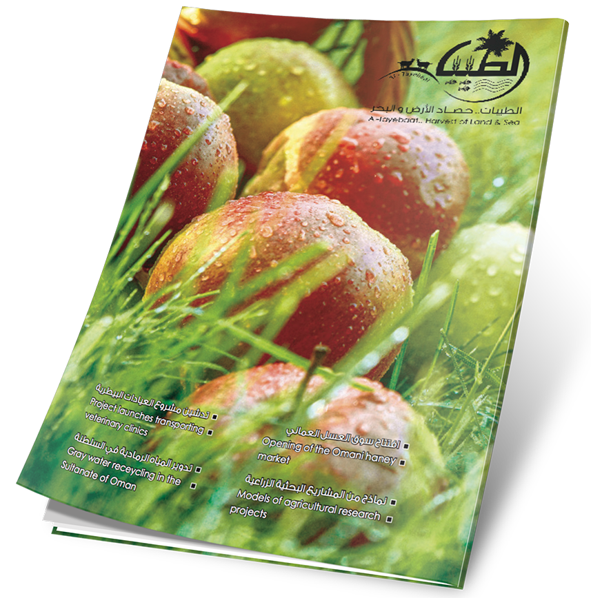 غلاف العدد 10